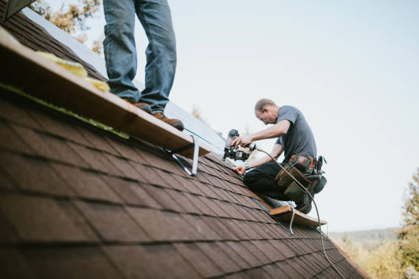 Best Roof Gutter Cleaning  in Chubbuck, ID